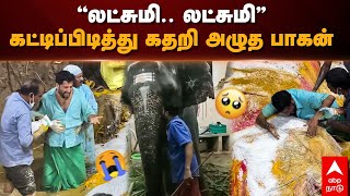 Manakula Vinayagar Temple Elephant Death  ”லட்சுமி லட்சுமி” கட்டிப்பிடித்து கதறி அழுத பாகன் [upl. by Aicyla]