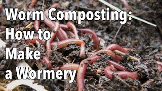 Worm Composting How to Make a Wormery [upl. by Maitund]