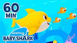 Baby Shark Doo Doo Doo 60 Min  Compilation  Baby Shark Remix  Baby Shark Official [upl. by Dachi513]