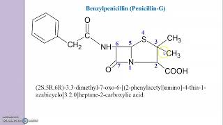 Drawing of Penicillin Structure  Benzylpenicillin Phenoxymethylpenicillin [upl. by Colburn798]