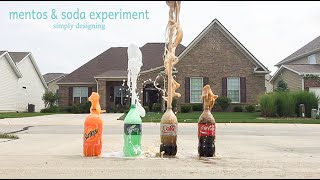 Mentos and Soda Experiment [upl. by Vidal]