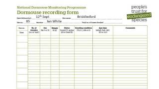 A guide to weighing and recording hazel dormice [upl. by Ruhtracm983]