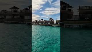 Maldives 🦈🏝️Angsana Velavaru Maldives 🏝️❤️☀️ watervillas area AliceandJan must see place [upl. by Gaul]