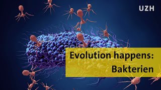 Evolution happens Bakterien [upl. by Isayg908]