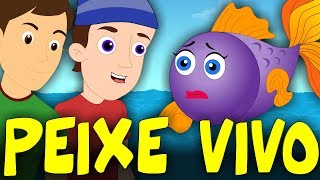 Peixe vivo  33 Minutos de Música Infantil  Canções Populares [upl. by Hobbs147]