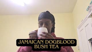 MAKING JAMAICAN DOGBLOOD BUSH TEA  TASTE TEST [upl. by Darnok]