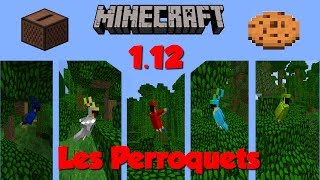 TOUT SAVOIR SUR LES PERROQUETS  Minecraft 112 [upl. by Cire]