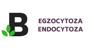 đź‘‰ EGZOCYTOZA ENDOCYTOZA đź”´ Co oznacza przedrostek ENDO i EKTO  KOREPETYCJE z BIOLOGII  42 [upl. by Lundgren635]