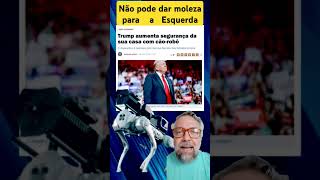 Serviço Secreto instala cão robô para proteger casa de Trump [upl. by Mag475]