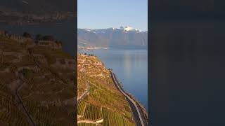 Breathtaking Drone Views of Lavaux Vineyards by Lake Geneva in Switzerland aerial dji drone [upl. by Saul]