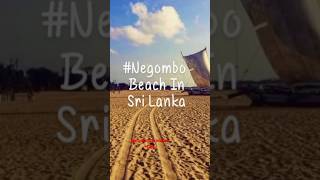 Negombo Beach In Sri Lanka2024ruwanchanaka06p [upl. by Ignazio937]