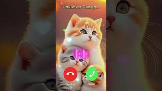 catcalling ringtone cutetalking ringtones [upl. by Mort149]