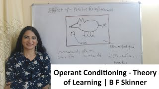 Operant Conditioning  Theory of Learning  B F Skinner [upl. by Tecla850]