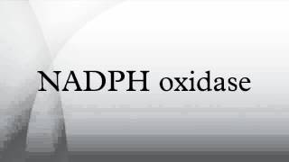 NADPH oxidase [upl. by Garth284]