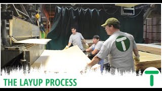 Hardwood Plywood Series  The Layup Process [upl. by Eileen57]