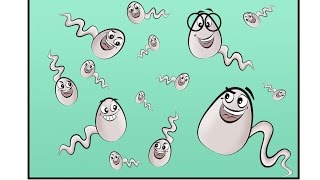 Spermbanter How Long Can Sperm Live Inside The Female Body by Dr Fertility [upl. by Ennaegroeg]