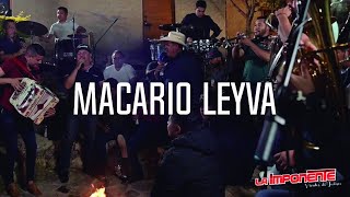 LaImponente  Macario Leyva  Musical En Vivo [upl. by Inatirb]