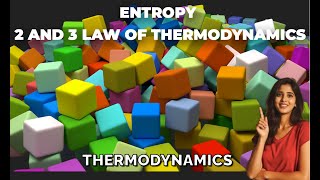 Entropy Thermodynamics [upl. by Kerr]