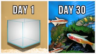 I Created a Nano Aquascape in 30 Days [upl. by Thynne]