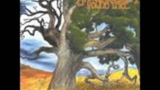 Groundation  Young Tree Full Album [upl. by Bachman]