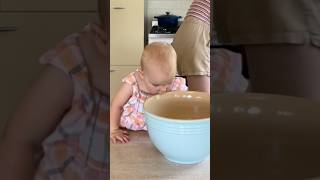 Cooking with my 15 month old 😋♥️ baby chillbaby animallover cookingchannel toddleractivities [upl. by Refinney]