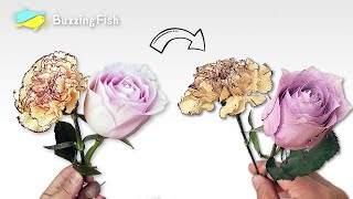 🌼How to Dry and Preserve Flowers  Dried Flowers Rose and Carnations 🌹 [upl. by Dabney]