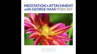 Metta Favorite Navigating Attachment Style and Primary Relationships [upl. by Htilil]