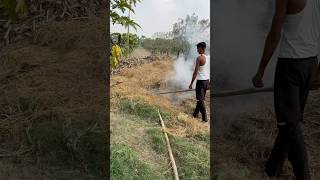 Aaj To Bda Nuksan Ho jata minivlog shorts vlog farmingvlog farming aftabshaikh [upl. by Analihp56]