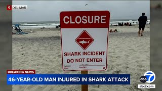 Shark attacks swimmer leading to beach closure in San Diego County [upl. by Adnowal368]