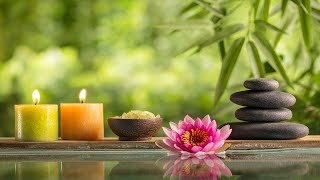 Relaxing Zen Music with Bamboo Water Sounds • Yoga Massages amp Mindfulness [upl. by Solim]