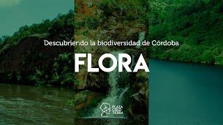 DESCUBRIENDO LA BIODIVERSIDAD DE CÓRDOBA Flora [upl. by Stockton]