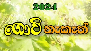 ගොවිි නැකැත් 2024  govi nakath  waga nakath  YLK channel  auspicious time for agriculture [upl. by Vedette]