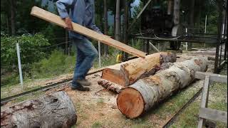 Home made twin blade sawmill in action [upl. by Anez]