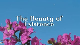 The Beauty Of ExistenceLyricsTranslationUrduEnglishAlMuqitNasheedJamalulwujudi جمال الوجود [upl. by Anedal8]