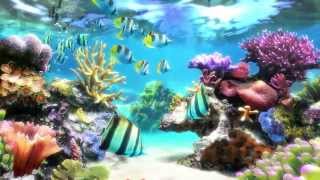 Sim Aquarium  Screensaver amp Live Wallpaper  SimAquariumcom [upl. by Dylan]