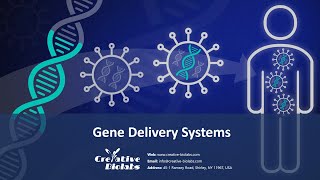 Gene Delivery Systems for Gene Therapy  Creative Biolabs [upl. by Sinnod]