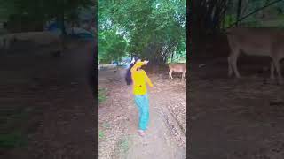 Nano Bala ne 😱😱😱 dance shortvideo [upl. by Ahsuatal]