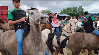 FEIRA DO CAVALO DE CAMPINA GRANDE PB 17072024 [upl. by Atwahs123]