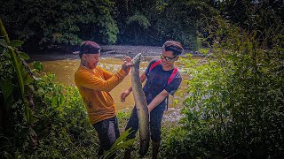 7 Hari berburu disungai dapat sidat monster berat 7kg amp dapat penghuni rawa yang besar KOOKIKO [upl. by Naval]