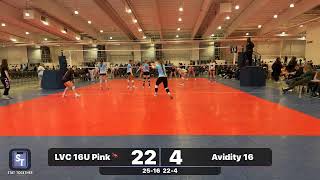 LVC 16U Pink🦩 vs Avidity 16 [upl. by Avonasac453]