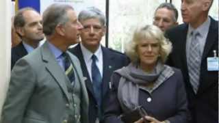 mock the week  newsreel  prince charles [upl. by Aicile75]