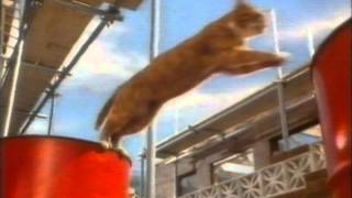 KitEKat Commercial 1986 [upl. by Yleak]