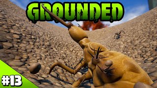 ANT LIONS Sandbox Lab  Grounded Episode 13 [upl. by Obaza]