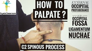 CERVICAL SPINE PALPATION  PART1 [upl. by Scutt]