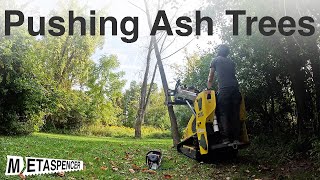 Pushing Ash Trees [upl. by Artekal]