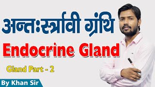 Endocrine Gland  अंत स्रावी ग्रंथि  Part  2  Khan GS Research Center [upl. by Ahtiekal]