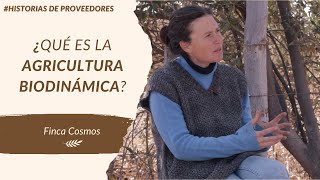 ¿Qué es la Agricultura Biodinámica por Finca Cosmos Parte 2 [upl. by Shana756]