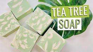 How To Make Tea Tree Soap  Learn To Make Your Own Tea Tree Soap At Home [upl. by Antonius]