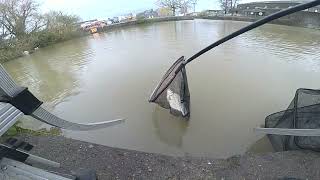 Feeder Canal Bristol Avon [upl. by Landel]