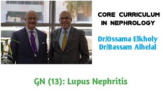 GN 13 Lupus Nephritis DrOssama Elkholy [upl. by Ellon]